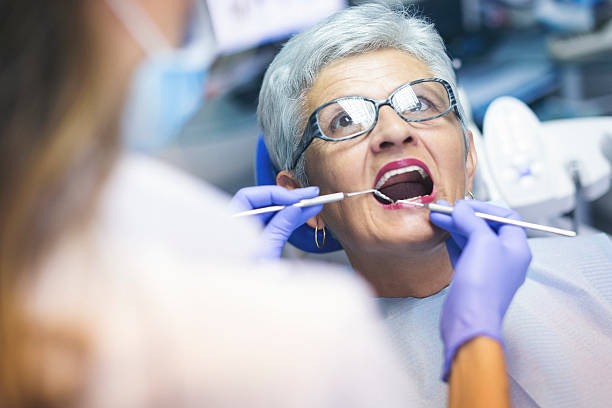  La Grange Park, IL Holistic Dental Services Pros